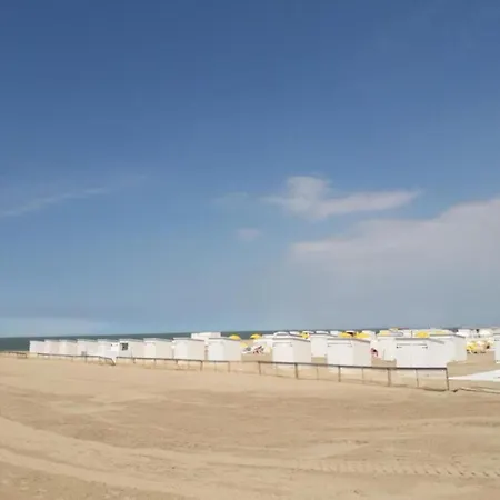 In Near The * Knokke-Heist