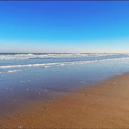 In Near The Appartement *