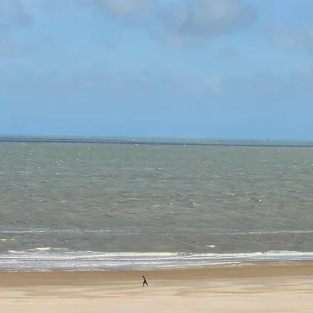 In Near The Knokke-Heist