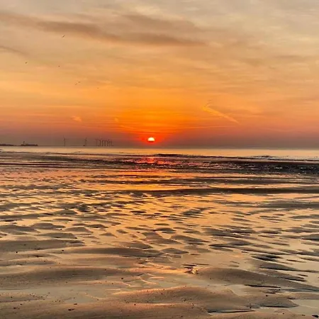 In Near The Daire Knokke-Heist