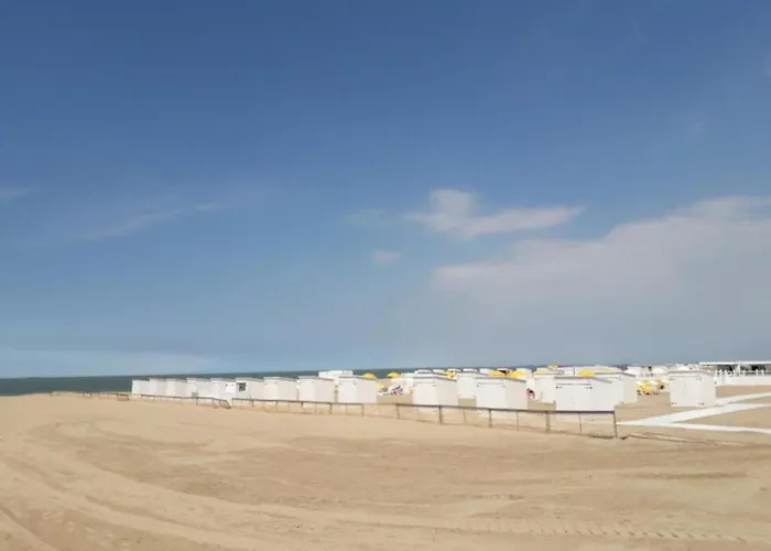 In Near The * Knokke-Heist